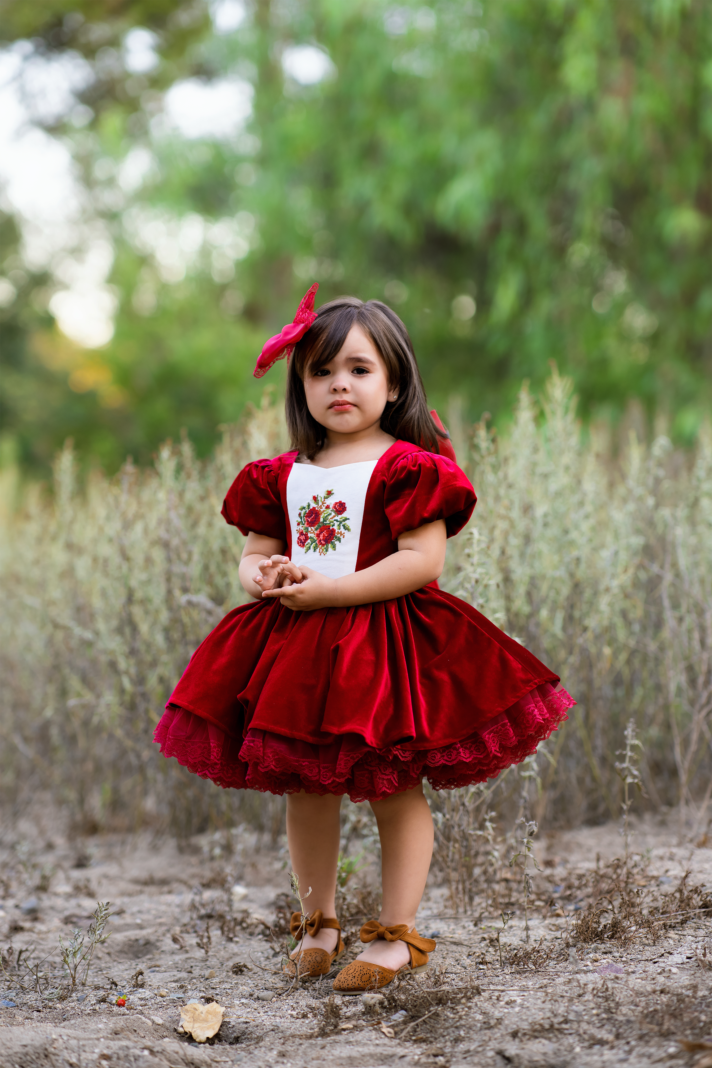 Cherry Velvet Dress