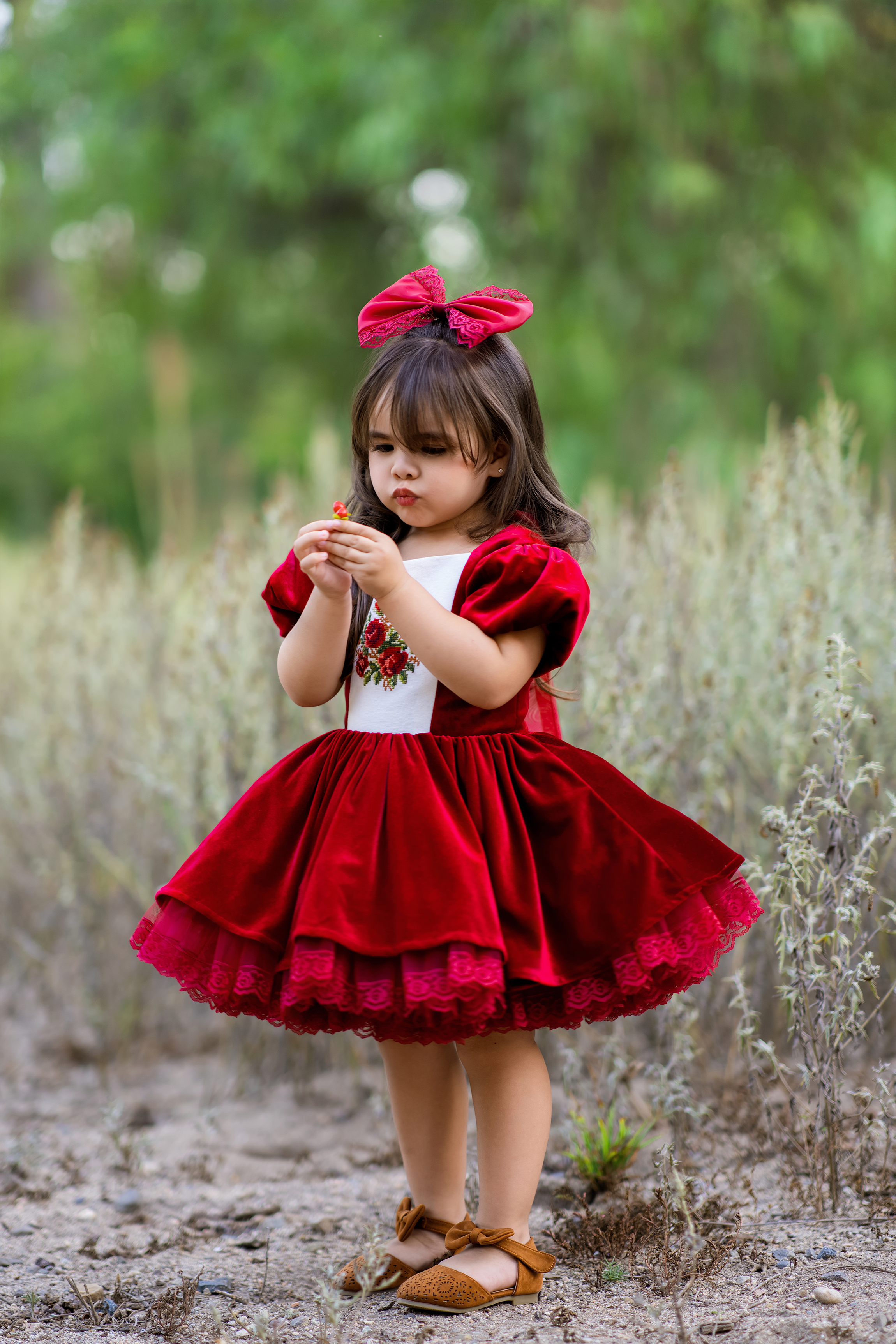 Cherry Velvet Dress