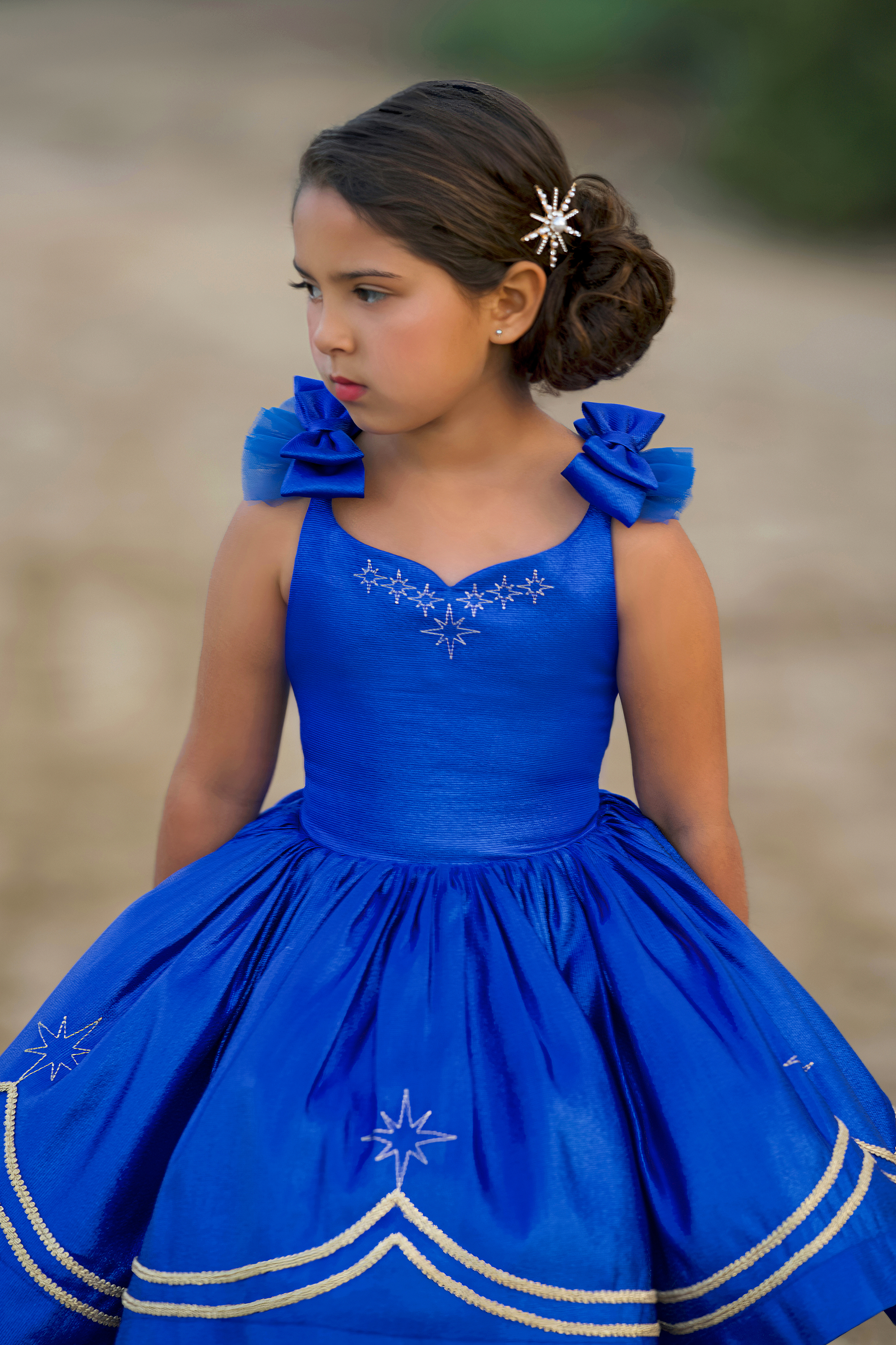 Glitz In Royal Dress