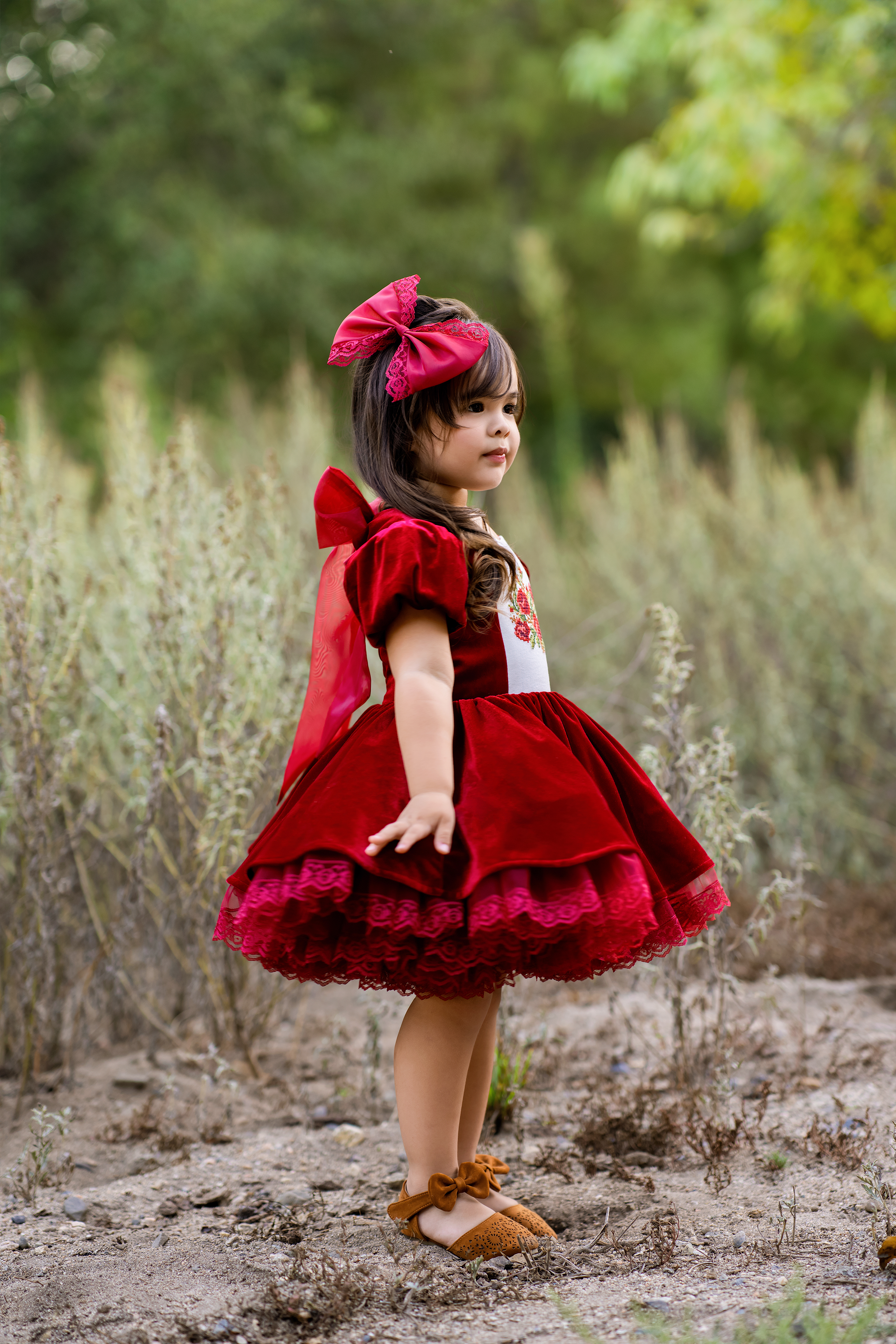 Cherry Velvet Dress