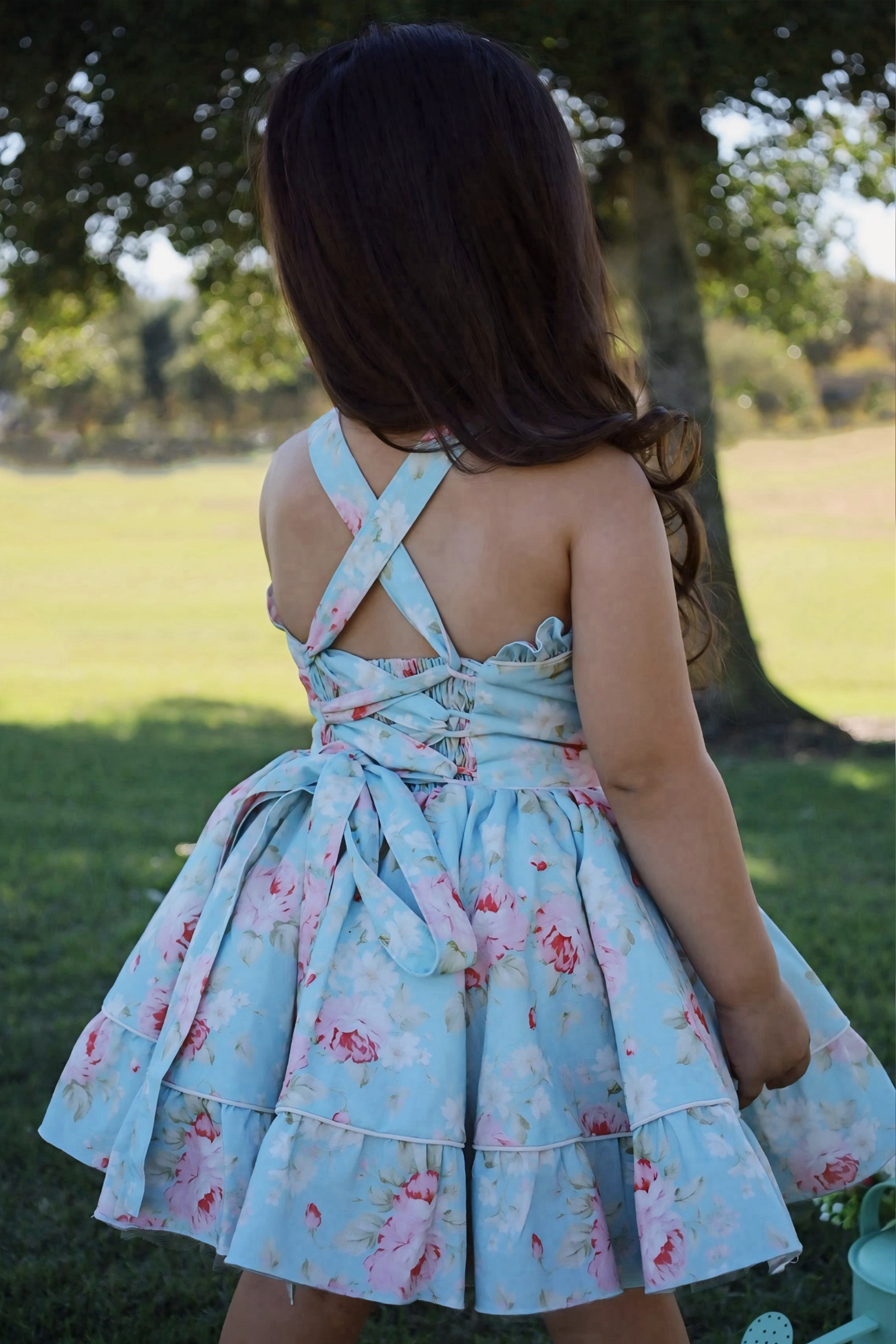 Chloe Dress, party dress, Floral, Blue, Pink, Back View