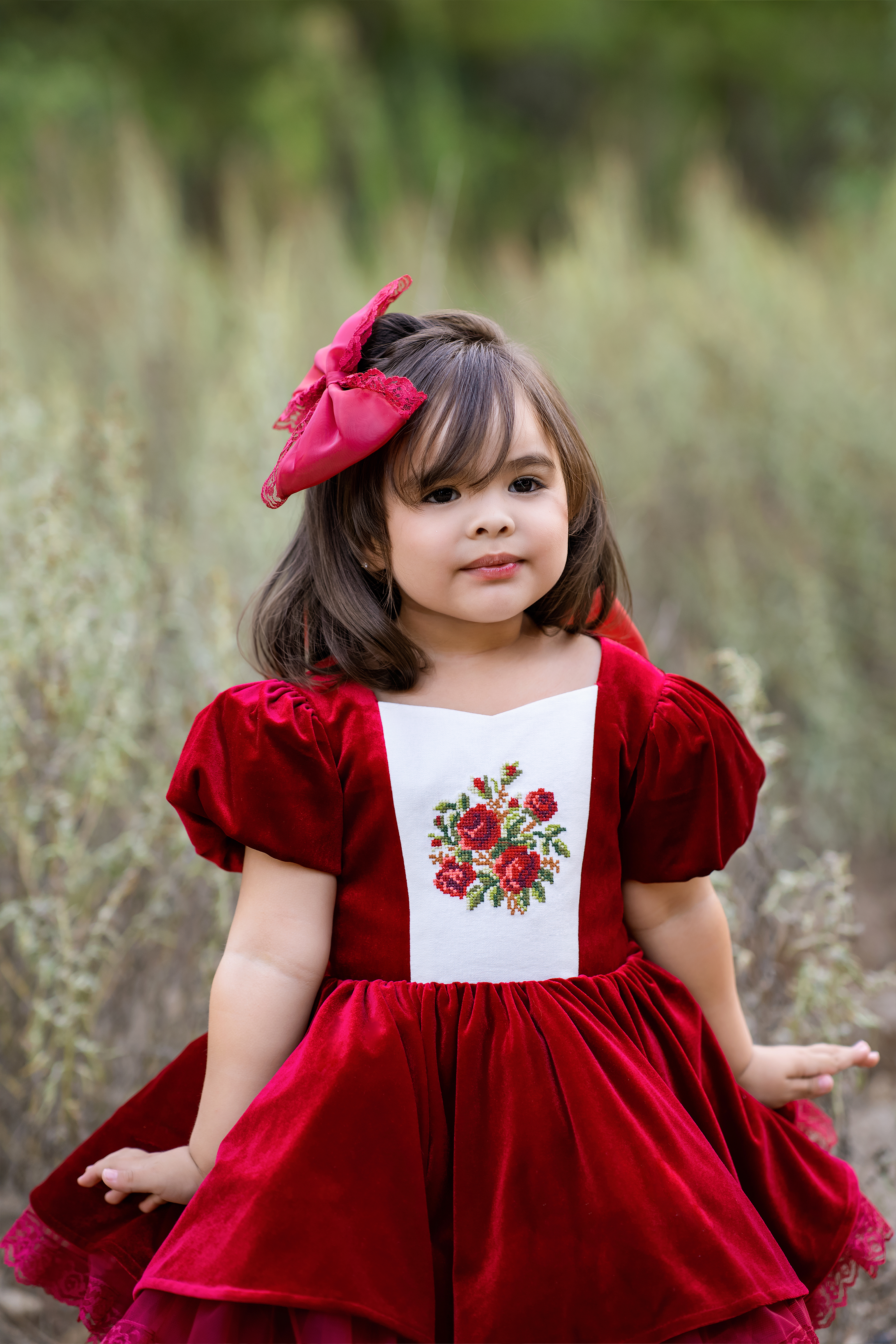 Cherry Velvet Dress