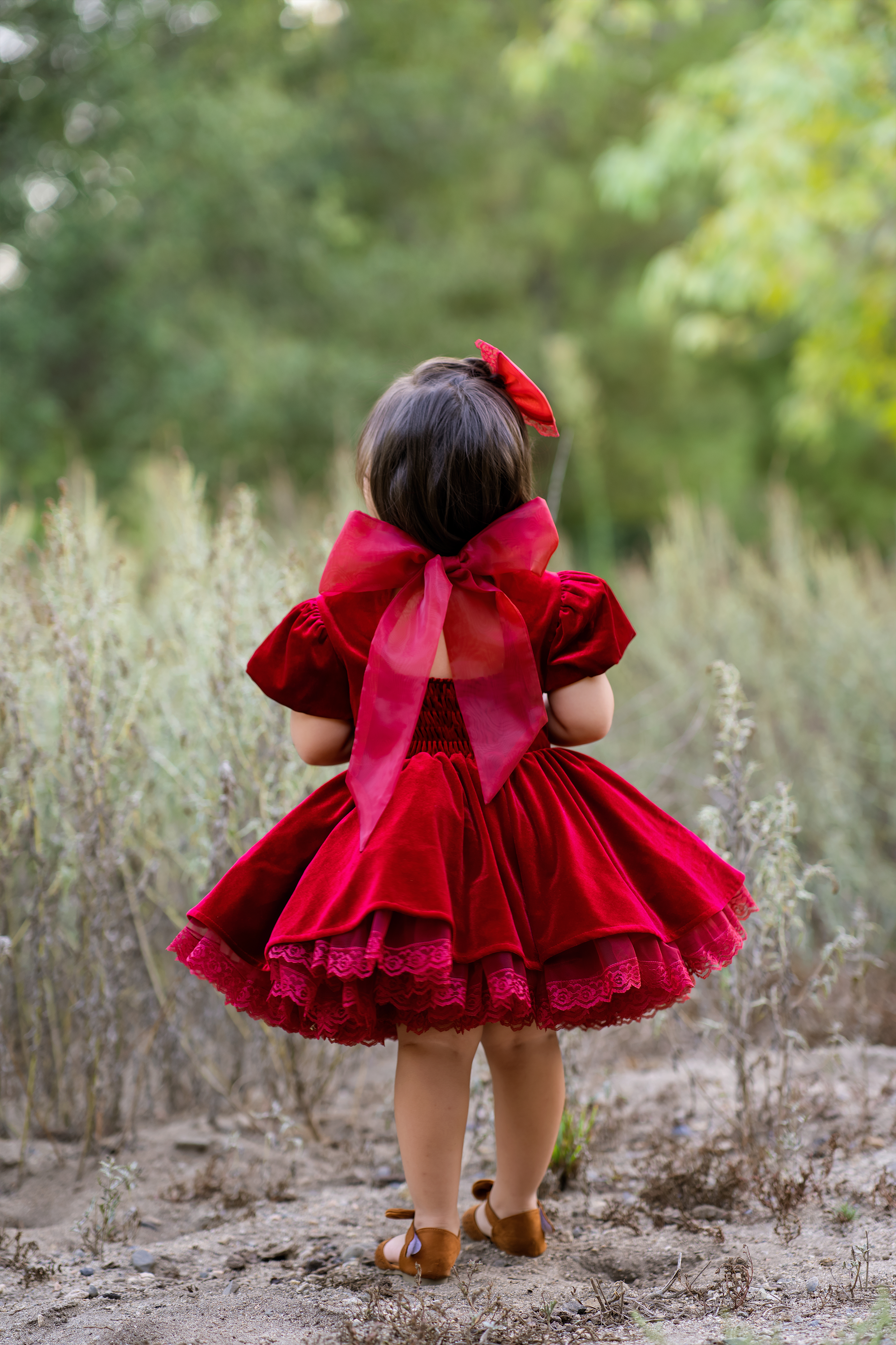 Cherry Velvet Dress